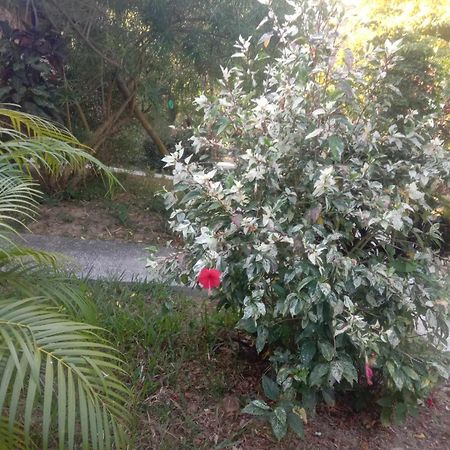 Koh Mook Bamboo Bungalows 外观 照片